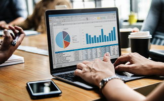 江蘇項目投資風(fēng)險評估 專業(yè)、公正、口碑卓越的啟佳信息咨詢服務(wù)